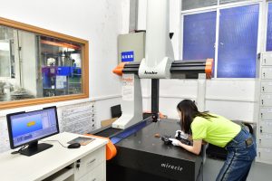 Mould Inspection